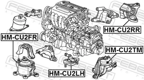 FEBEST Mounting, engine (HM-CU2RR)
