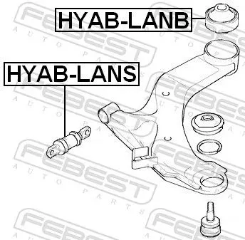 FEBEST Mounting, control/trailing arm (HYAB-LANB)
