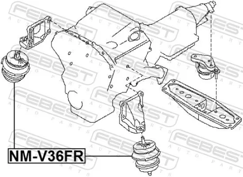 FEBEST Mounting, engine (NM-V36FR)