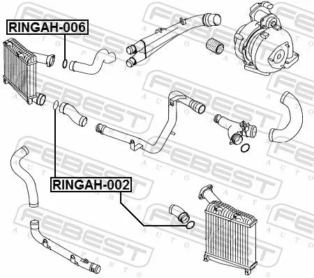 FEBEST Seal Ring, charge air hose (RINGAH-006)