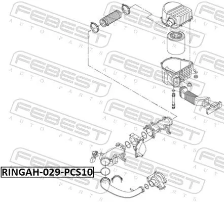 FEBEST Seal Ring, charge air hose (RINGAH-029-PCS10)
