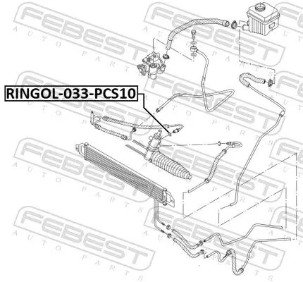 FEBEST Shaft Seal, power steering pump (RINGOL-033-PCS10)