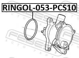 FEBEST Gasket, vacuum pump (RINGOL-053-PCS10)