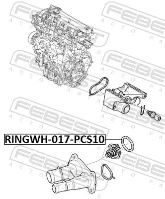 FEBEST Gasket, coolant flange (RINGWH-017-PCS10)
