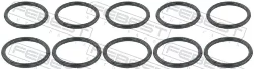 Gasket, coolant flange