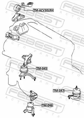 FEBEST Mounting, engine (TM-046)