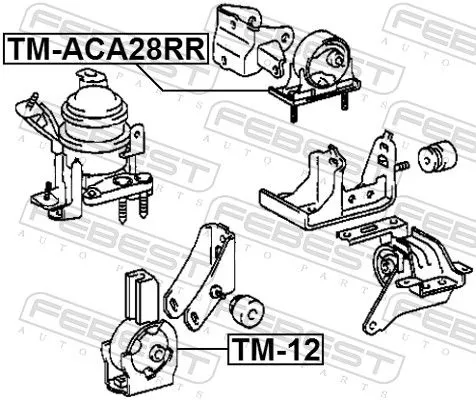 FEBEST Mounting, engine (TM-ACA28RR)