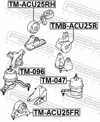 FEBEST Mounting, engine (TM-ACU25RH)