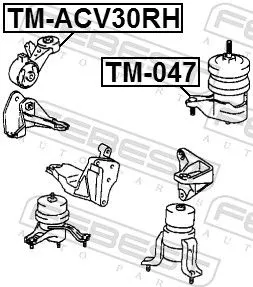 FEBEST Mounting, engine (TM-ACV30RH)