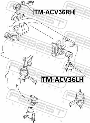 FEBEST Mounting, engine (TM-ACV36RH)