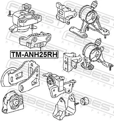 FEBEST Mounting, engine (TM-ANH25RH)