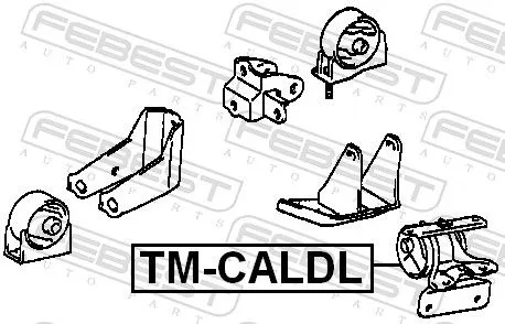 FEBEST Mounting, engine (TM-CALDL)