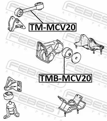 FEBEST Mounting, engine (TM-MCV20)