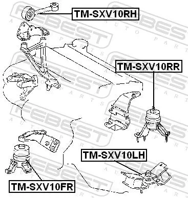 FEBEST Mounting, engine (TM-SXV10RH)