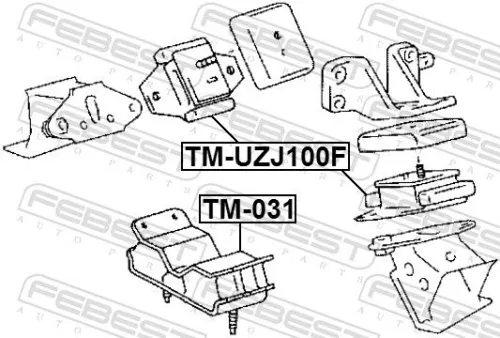 FEBEST Mounting, engine (TM-UZJ100F)