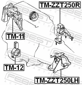 FEBEST Mounting, engine (TM-ZZT250R)