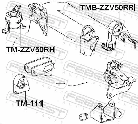FEBEST Mounting, engine (TM-ZZV50RH)