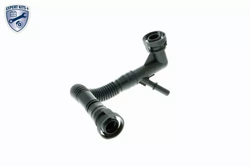 Hose, crankcase ventilation
