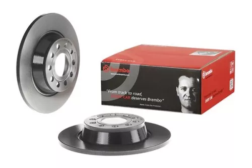 BREMBO Brake Disc (08.A202.11)