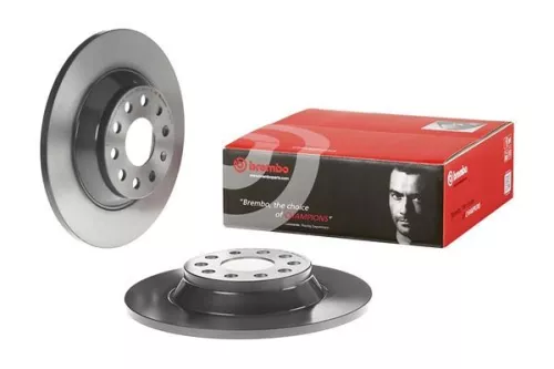 BREMBO Brake Disc (08.C501.11)