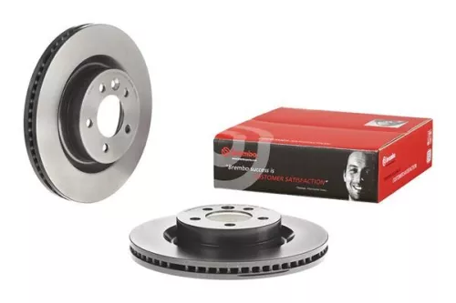 BREMBO Brake Disc (09.8875.31)