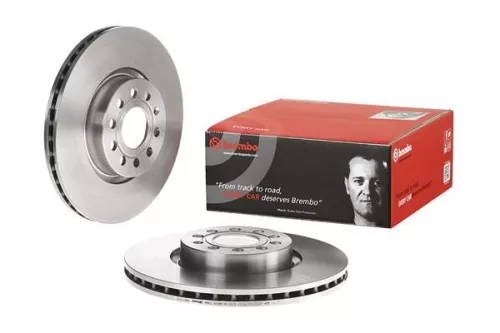 BREMBO Brake Disc (09.9772.10)