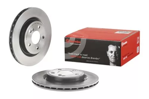 BREMBO Brake Disc (09.C219.41)