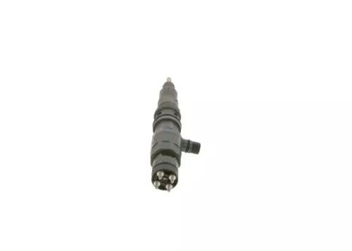 BOSCH Injector Nozzle (0 445 120 298)