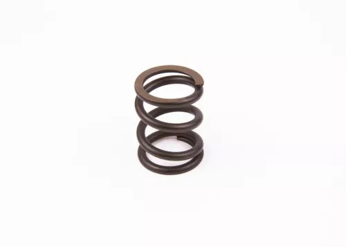 BOSCH Spring (1 424 634 043)