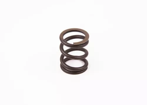 BOSCH Spring (1 424 634 043)