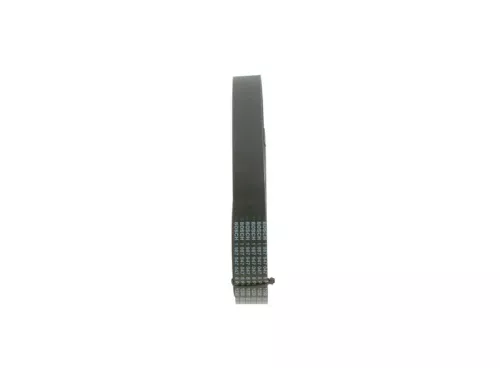BOSCH V-ribbed Belt (1987947048)