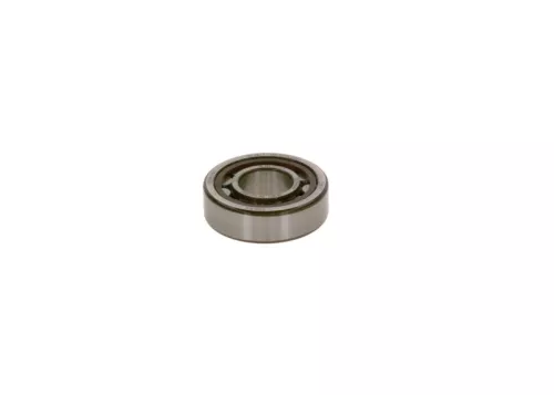BOSCH Bearing (2 120 910 000)