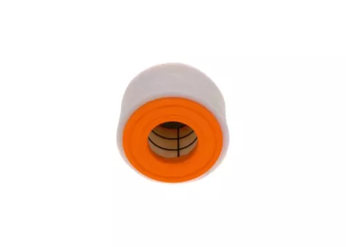 BOSCH Air Filter (F026400289)