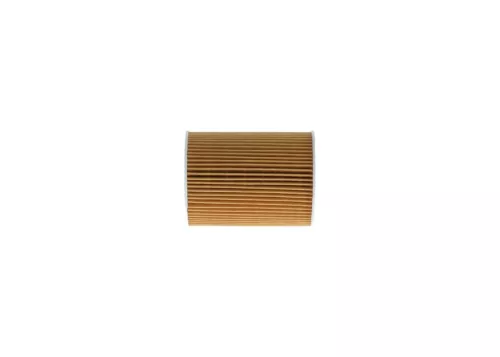 BOSCH Oil Filter (F026407076)