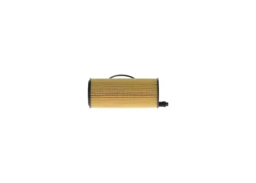 BOSCH Oil Filter (F026407123)