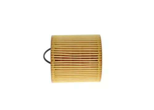 BOSCH Oil Filter (F026407175)