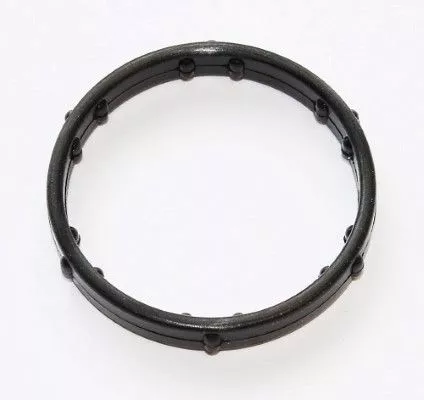 Gasket, coolant flange
