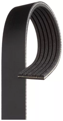V-Ribbed Belt
