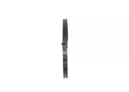 BOSCH V-Belt (1987947530)