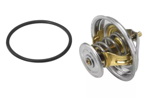 BorgWarner (Wahler) Thermostat, coolant (4235.80D)