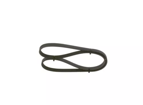 BOSCH V-ribbed Belt (1987947860)