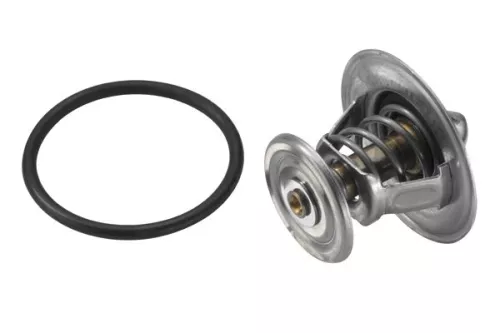 BorgWarner (Wahler) Thermostat, coolant (4264.87D)