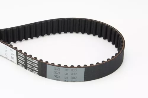 Timing Belt