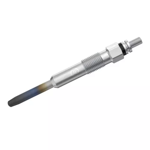 BOSCH Glow Plug (0250202020)