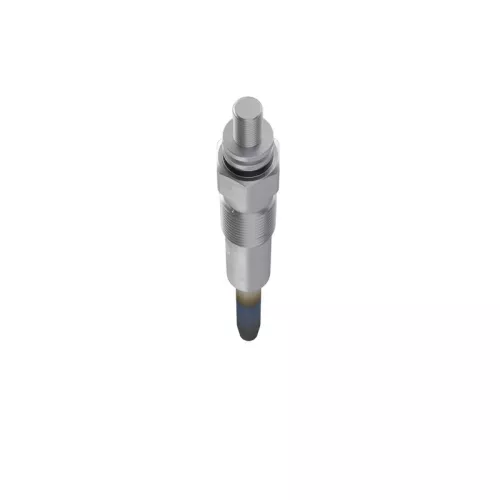 BOSCH Glow Plug (0250202020)
