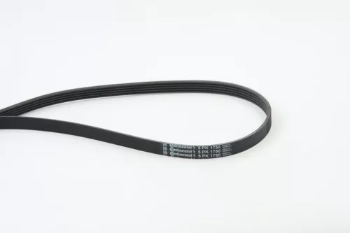 V-ribbed Belt