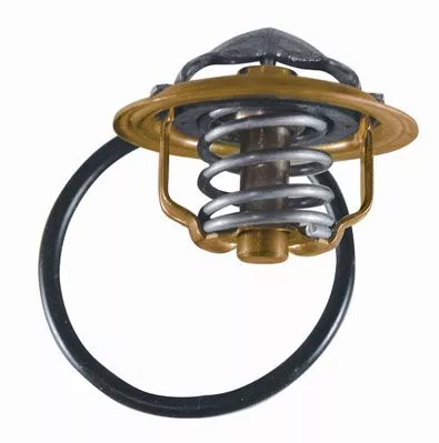 BorgWarner (Wahler) Thermostat, coolant (3472.87D)