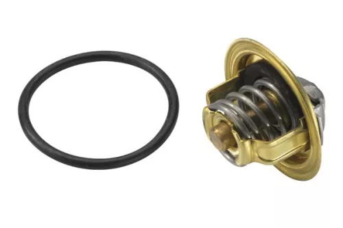 BorgWarner (Wahler) Thermostat, coolant (3472.87D)