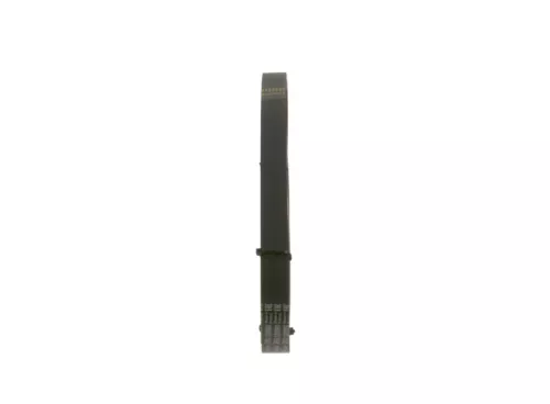 BOSCH V-ribbed Belt (1987948487)