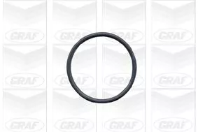 GRAF Water Pump, engine cooling (PA502A)